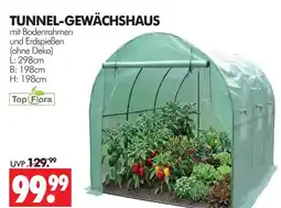 Wreesmann Top flora tunnel-gewächshaus Angebot