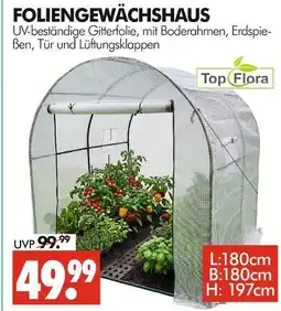 Wreesmann Top flora foliengewächshaus Angebot