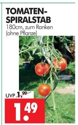 Wreesmann Tomaten-spiralstab Angebot