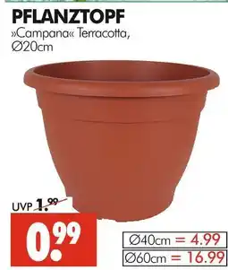 Wreesmann Pflanztopf campana Angebot