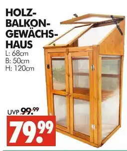 Wreesmann Holz-balkon-gewächshaus Angebot
