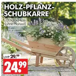 Wreesmann Holz-pflanz-schubkarre Angebot