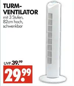 Wreesmann Turmventilator Angebot
