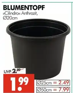 Wreesmann Blumentopf cilindro Angebot