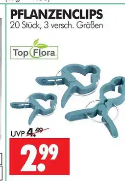 Wreesmann Top flora pflanzenclips Angebot