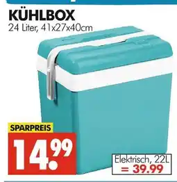 Wreesmann Kühlbox Angebot