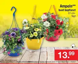 Zimmermann Ampeln Angebot