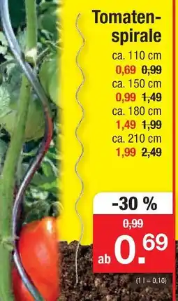 Zimmermann Tomatenspirale ca. 110 cm Angebot