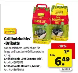 Hagebau Profagus grillholzkohle der sommer-hit Angebot