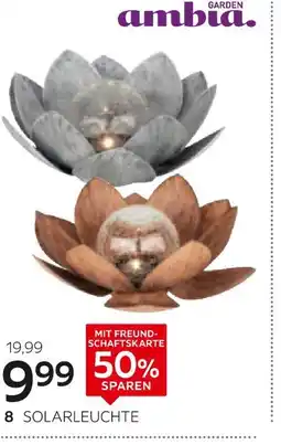 XXXLutz Ambia garden solarleuchte „honolulu“ Angebot