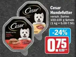 AEZ Cesar Hundefutter Angebot
