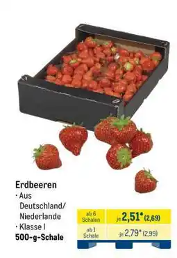 METRO Erdbeeren Angebot
