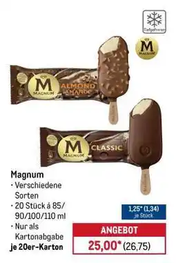 METRO Magnum Angebot