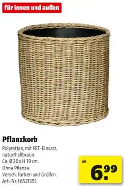 Hagebau Pflanzkorb Angebot