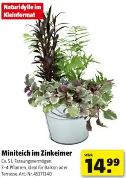 Hagebau Miniteich im Zinkeimer Angebot