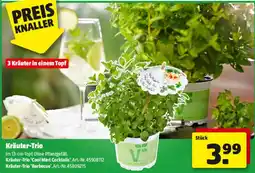 Hagebau Kräuter-Trio Angebot