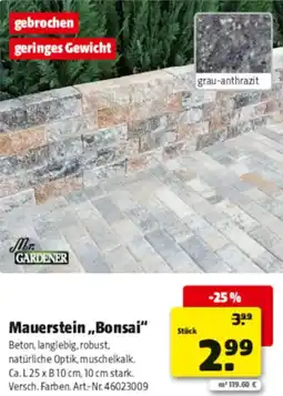 Hagebau Mr. GARDENER Mauerstein ,,Bonsai" Angebot