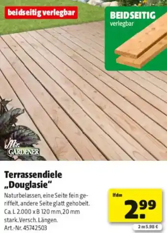 Hagebau Mr GARDENER Terrassendiele ,,Douglasie" Angebot