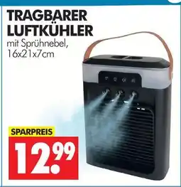 Wreesmann Tragbarer luftkühler Angebot
