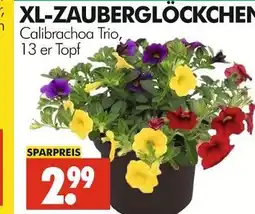 Wreesmann Xl-zauberglöckchen Angebot