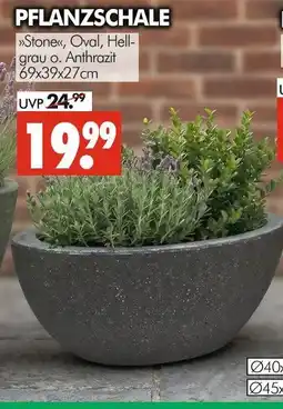 Wreesmann Pflanzschale stone oval Angebot
