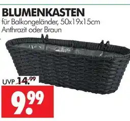 Wreesmann Blumenkasten Angebot