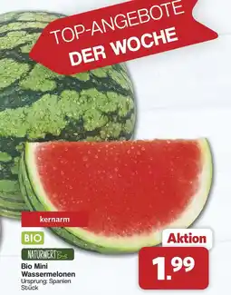 Famila Nord West BIO NATURWERTB Bio Mini Wassermelonen Angebot