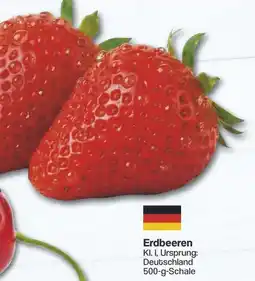 Famila Nord West Erdbeeren Angebot