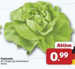 Famila Nord West Kopfsalat Angebot