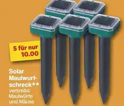 Famila Nord West Solar Maulwurfschreck Angebot