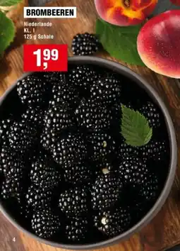 Handelshof BROMBEEREN Angebot