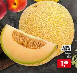Handelshof GALIA- MELONE Angebot