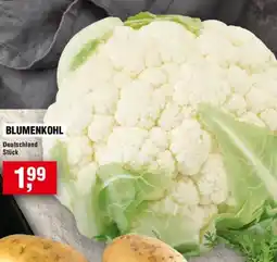 Handelshof BLUMENKOHL Angebot