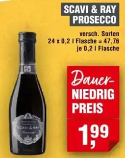 Handelshof SCAVI & RAY PROSECCO Angebot