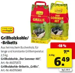 Hagebau profagus Grillholzkohle/Briketts Angebot