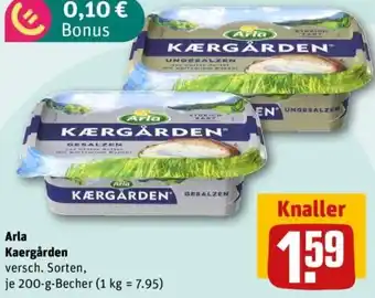 REWE Arla Kaergården Angebot