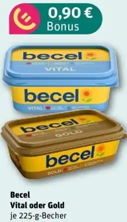 REWE Becel Vital oder Gold Angebot