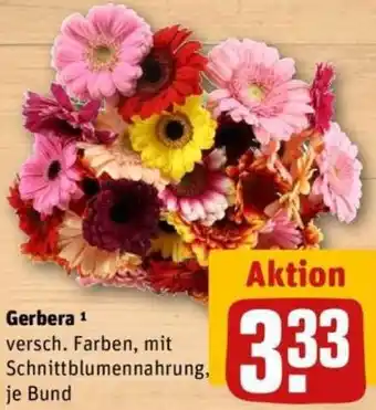 REWE Gerbera Angebot