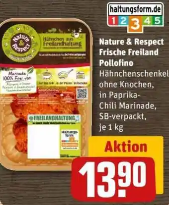 REWE Nature & Respect Frische Freiland Pollofino Angebot