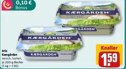 REWE Arla Kaergården Angebot