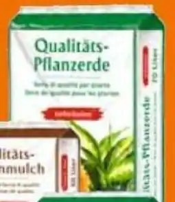 OBI Qualitäts Pflanzerde Angebot