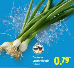 Lidl Deutsche Lauchzwiebeln Angebot