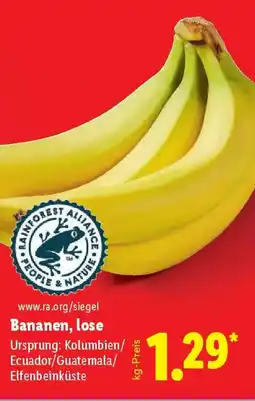 Lidl Bananen, lose Angebot