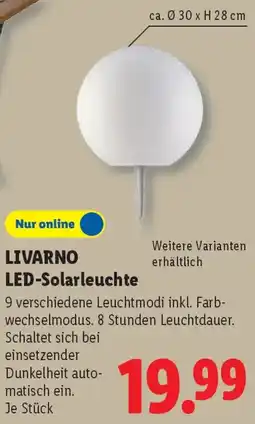 Lidl LIVARNO LED-Solarleuchte Angebot