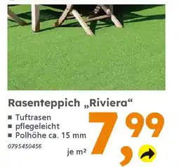 Globus Baumarkt Rasenteppich ,,Riviera" Angebot