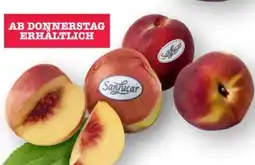 Scheck-in-Center SanLucar Nektarine Angebot