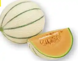 Scheck-in-Center Cantaloupe Melone Angebot