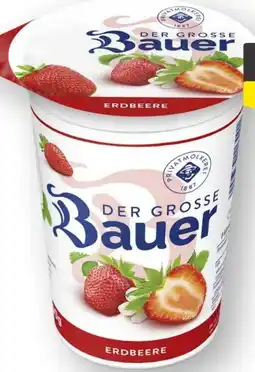 Scheck-in-Center Bauer Der Große Fruchtjoghurt Angebot