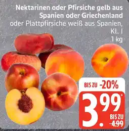 Edeka Nektarinen oder Pfirsiche gelb aus Spanien oder Griechenlandanien Angebot