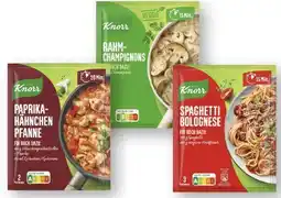 Scheck-in-Center Knorr Fix Angebot